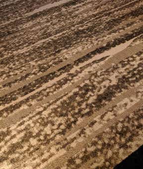 Customer photo for review titled "Basement rug"