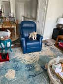 Review photo 1