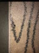 Review photo 1
