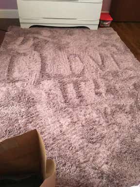 Customer photo for review titled "Great Price! Great Rug!"