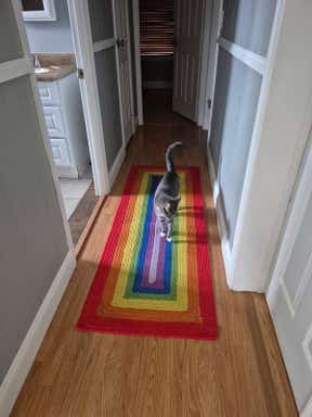 Customer photo for review titled "Brightens up hallway!"