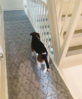 Customer photo for review titled "It fits!"
