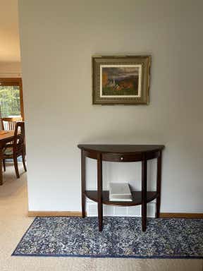 Customer photo for review titled "Easy Carpet Solution!"