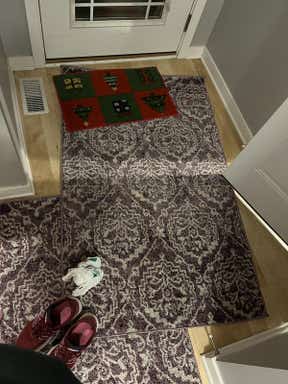 Customer photo for review titled "Great Rug"