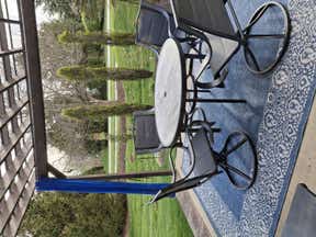 Customer photo for review titled "Love the carpet"