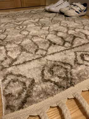 Customer photo for review titled "Nice quality rug"