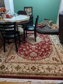 Review photo 1