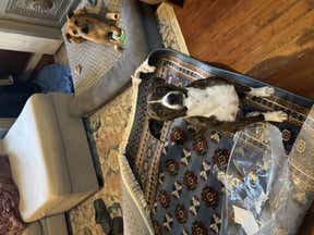 Customer photo for review titled "Beautiful!!"
