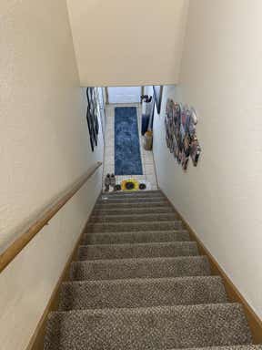 Customer photo for review titled "Beautiful shag runner"