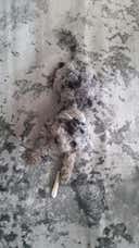 Review photo 2