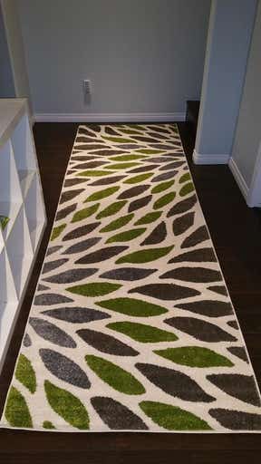 Customer photo for review titled "Gorgeous Soft Non-shedding Carpet-y Perfection"