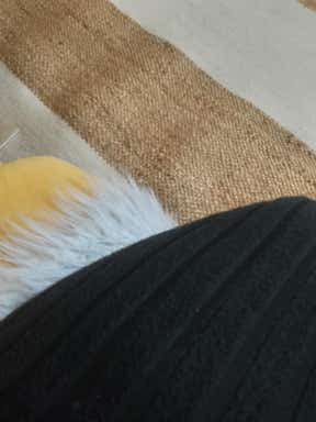 Customer photo for review titled "You should buy this"