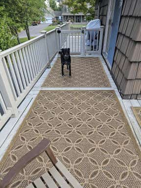 Customer photo for review titled "I LOVE my new rugs. Design and color as pictured"