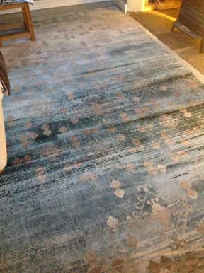 Customer photo for review titled "Great rug!"