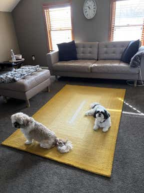 Customer photo for review titled "Great rug great value"
