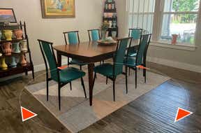 Customer photo for review titled "Rug Win Win"