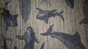 Customer photo for review titled "Nice but not as expected"
