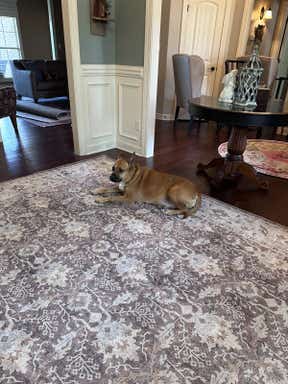 Customer photo for review titled "Absolutely beautiful"