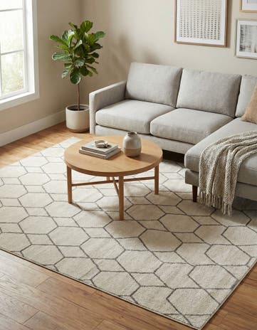7' 10 x 11' Lattice Frieze Rug