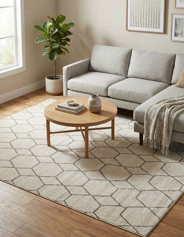 7' 10 x 11' Lattice Frieze Rug