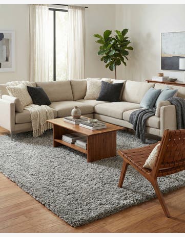 Ash Infinity Shag Rug