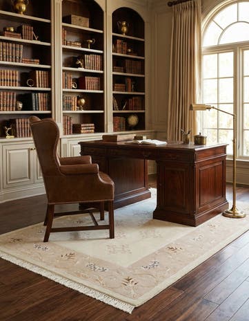 4' x 6' Darya Rug