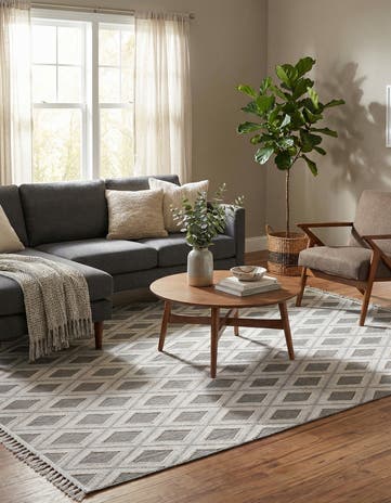Charcoal Arlo Rug