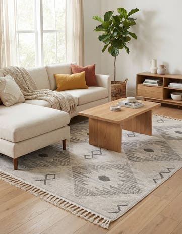 6' x 9' Arlo Rug