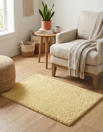 2' 2 x 3' Solid Frieze Rug