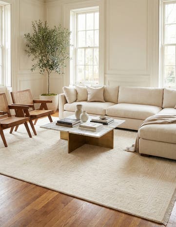 8' 2 x 11' 4 Hand Knotted Darya Wool Rug