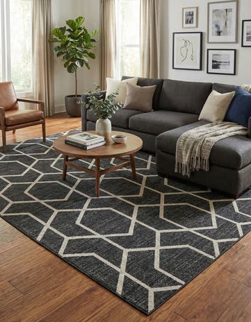 10' x 13' Eco Trellis Rug