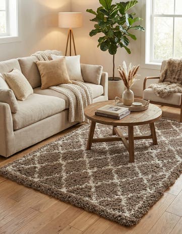 5' x 8' Infinity Shag Rug
