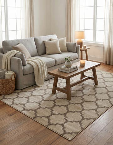 Beige and Light Brown Lattice Rug