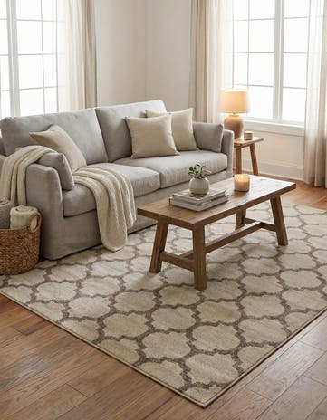 Beige and Light Brown Lattice Rug