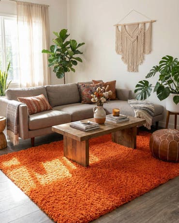  6' x 9' Solid Shag Rug