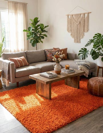 6' x 9' Solid Shag Rug