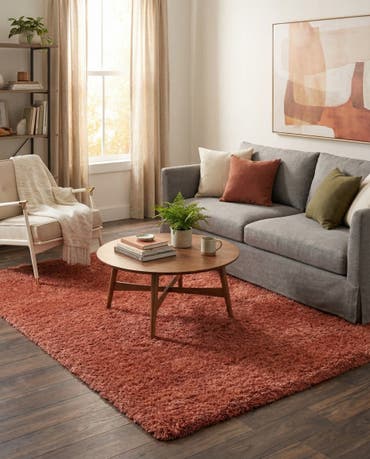  4' x 6' Infinity Shag Rug