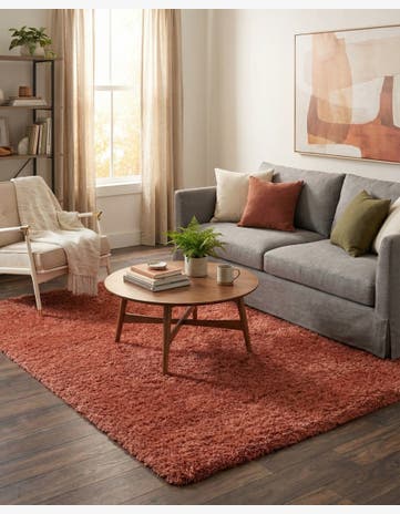 4' x 6' Infinity Shag Rug