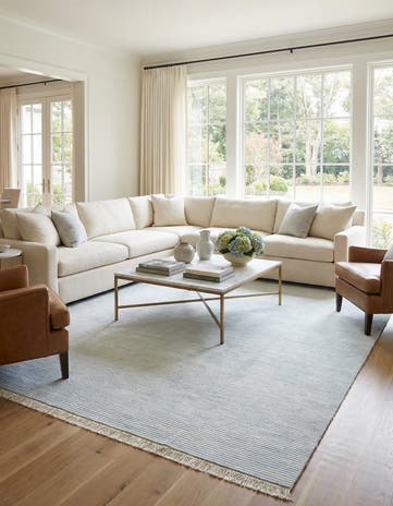 9' 11 x 13' Hand Knotted Darya Wool Rug