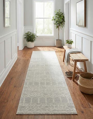3' x 13' Paxon Trellis Runner Rug