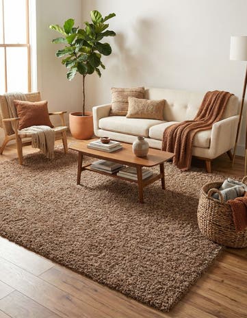 7' 10 x 10' Solid Shag Rug