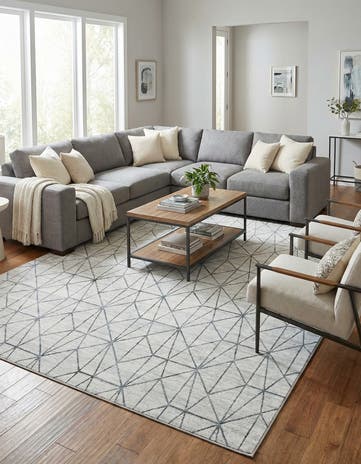 9' 10 x 14' Lattice Trellis Rug