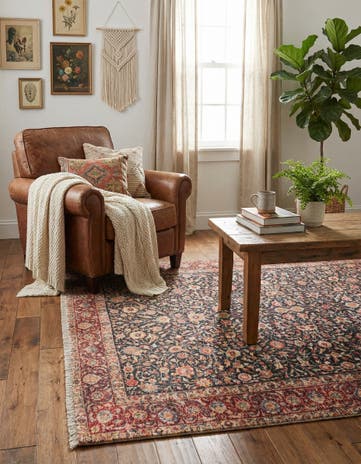 3' 11 x 5' 11 Boutique Rug