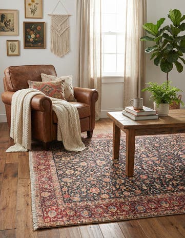 3' 11 x 5' 11 Boutique Rug