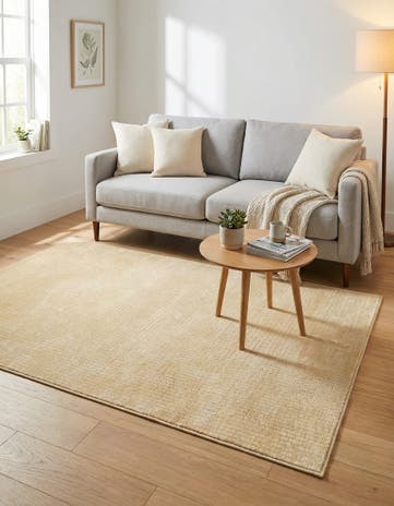 4' x 6' Aakaar Rug