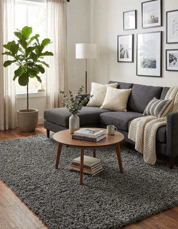 6' x 9' Infinity Shag Rug
