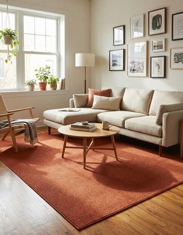 Terracotta Everyday Solid Rug