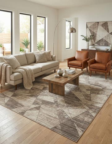 10' x 14' Silta Rug