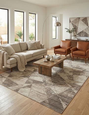 10' x 14' Silta Rug