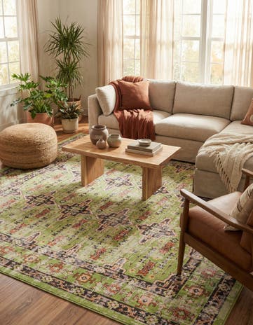 9' x 12' Lucerne Rug